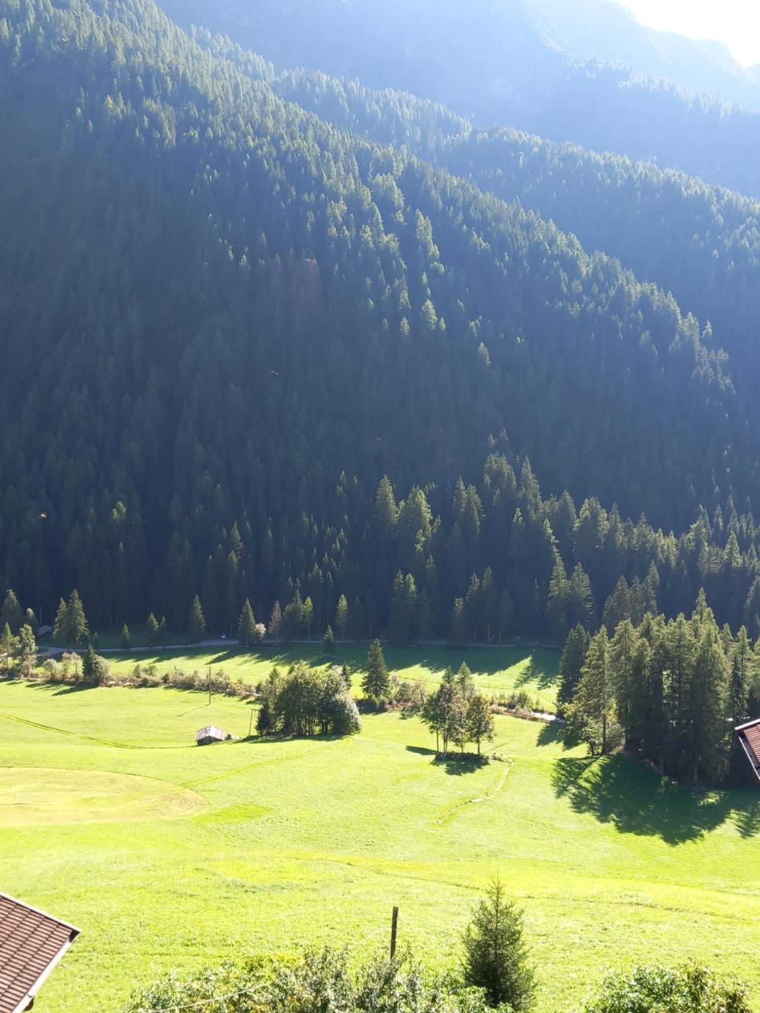 Gasthof Innerwalten San Leonardo in Passiria Kültér fotó