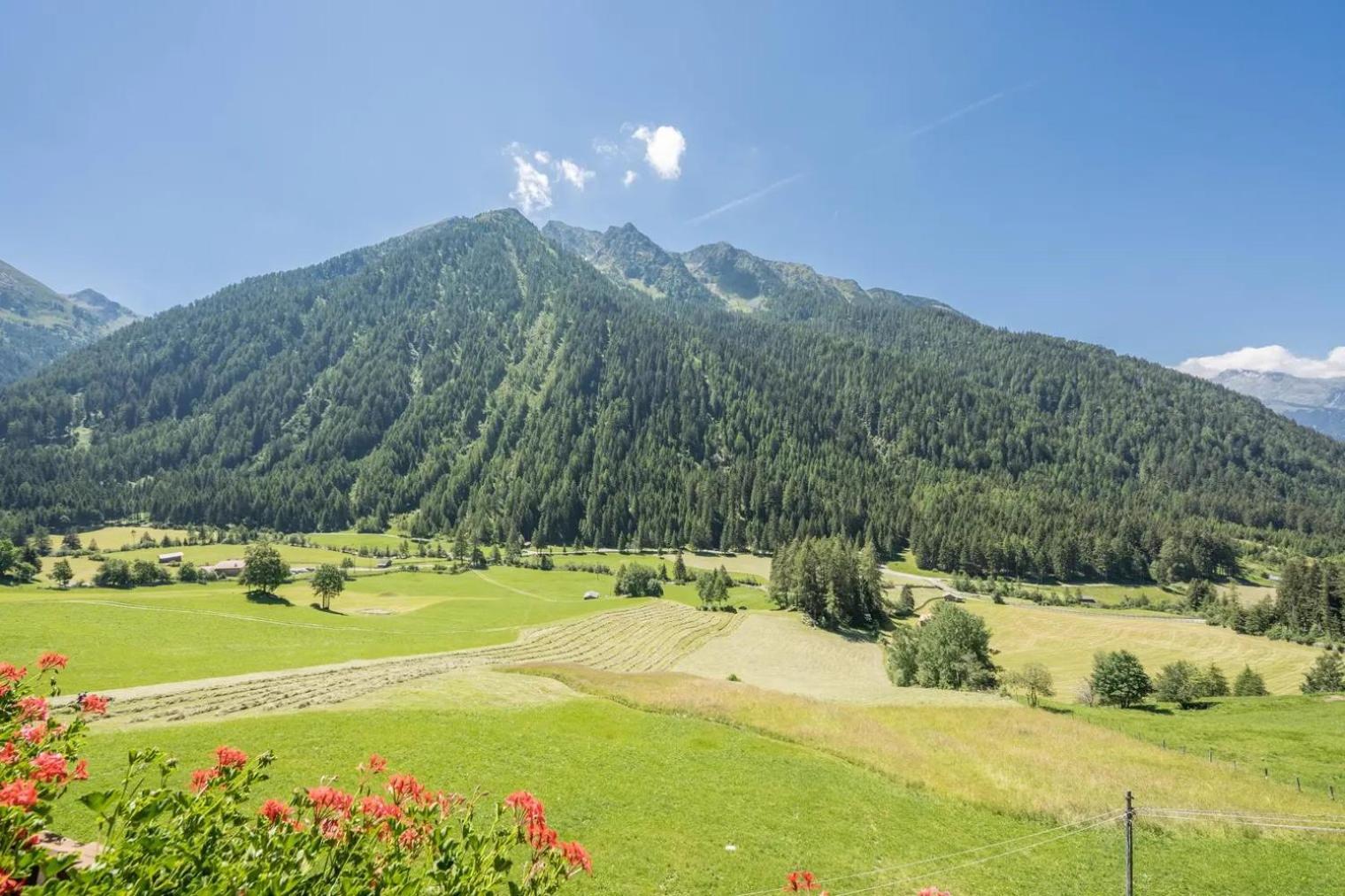 Gasthof Innerwalten San Leonardo in Passiria Kültér fotó